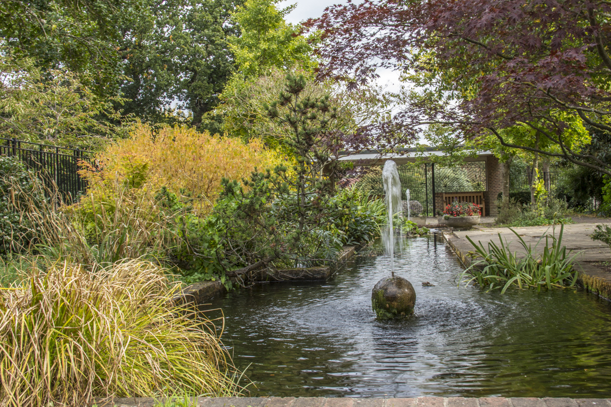 Water Garden in Abbey Gardens, Bury St Edmunds, Suffolk, UK   0097