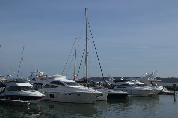 Yachts moored in Poole  Harbour